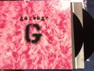 ORIGINAL US PRESS 1995 // Garbage S/T Self Titled 2LP AM52-80004 shirley manson