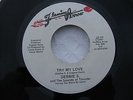 DEBBIE S. TRY MY LOVE/BEWARE FLAMING ARROW 226 NOS, (Mint)