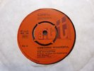 THE ROYALETTES - RIVER OF TEARS / SOMETHING WONDERFUL - BIG T UK :NORTHERN SOUL