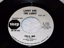 LARRY AND THE LARKS  