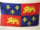 DRAPEAU LANDES 150x90cm - DRAPEAU DÉPARTEMENT LANDAIS 90 x 150 cm Fourreau pour
