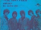 THE RATTLES - RAINDROP / I,LL CATCH HER 7 INCH SINGLE EXTREME RARE DUTCH PRESS