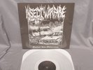 Insect Warfare evolved to obliteration LP SEALED grindcore grind hatred surge