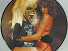 IRON MAIDEN LAST PUB GIG RARE LIVE PICTURE DISC