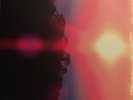 GROUPER - PARADISE VALLEY 7
