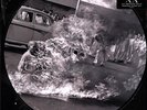 Rage Against The Machine 20th Anniversary LP Pic Vinyl NEW