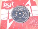 THE SIDEKICKS suspicions UK RCA 1966 DEMO 45 MINT