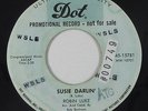 Teen Rocker 45 - Robin Luke - Susie Darlin' - Dot - mp3 - promo