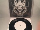Chaos Order Werewolf Congress Test Press Metalcore sXe Hardcore Punk Rare Bane