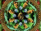 Alaura - Sacred Dreams PSYCHIC TV GENESIS P-ORRIGE