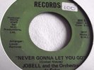 JOBELL & THE ORCHESTRA DE SALSA   NEVER GONNA LET YOU GO ** US JAN 45