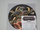 GWAR Black Friday Limited Edition PICTURE DISC 7” Record Store Day 2016 RSD 1500