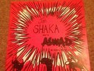 jah shaka meets aswad in addis ababa studio