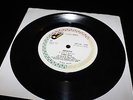 Celine Dion - Misled - RARE ZIMBABWIAN 7inch from 1994
