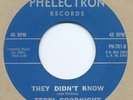 NORTHERN SOUL 45  TERRI GOODNIGHT  