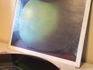 Cosa Nostra Beck-Ola 1969 Vinyl Stereo- SCX 6351