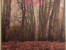 Twink - Think Pink - Original Vinyl 12
