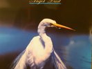 Faith No More - Angel Dust 2 x LP Vinyl Record - European Import - 2013 - CLEAN