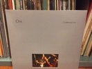 Om Conference Live Lp OOP