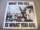 ALTERNATIVE TV What You See Is What You Are 1978 DEPTFORD FUN CITY RECORDS   EX