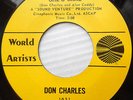 DON CHARLES garage / folk 45 SHE'S MINE / BIG TALK FROM A LITTLE MAN vg++ F1915