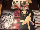 Mother Love Bone 