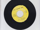 FAY MUSIC INC./ JAH A WIP THEM  -  U BROWN  (76 REGGAE ROOTS 7