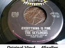 ? Skyliners 'Everything Is Fine' RARE Collectors Northern Soul 45 HEAR