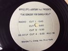 RARE -RADIO SPOT-CONCERT FOR BANGLA DESH-BEATLES RARITY-1972-SVG COND.