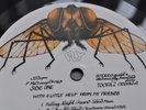 JOE COCKER (1st / With a Little Help from My Friends) UK FLY EARLY 70s EX LPs.
