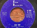 THE DARELYCKS Bad Trip / Wait For Me KILLER 1966 NEW YORK GARAGE FUZZ rare EX 45