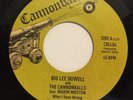 Northern Soul * BIG LEE DOWELL * What I Done Wrong * CANNONBALL *
