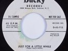 Doo Wop R&B 45 TENDER TONES Just For A Little While DUCKY HEAR