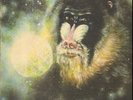 SOUL / FUNK LP - MANDRILL 