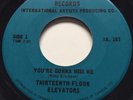 GARAGE PUNK Thirteenth Floor Elevators YOU'RE GONNA MISS ME IA 45 rare Canadian