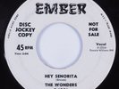 R&B Rocker 45 WONDERS Hey Senorita EMBER HEAR