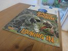 SAVOY BROWN LOOKING IN 1970 MINT UK DECCA LP STUNNING COPY