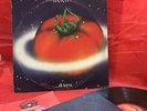 Banco del Mutuo Soccorso - ...Di Terra - Vinyl, LP 1978 - Prima Stampa-Excellent