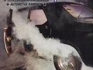 V8WANKERS - AUTOMOTIVE RAMPAGE LP ???NEU/NEW???