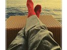Prick Of The Litter (LP) - DELBERT MCCLINTON & SELF-MADE [LP]