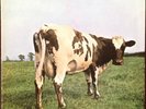 PINK FLOYD - ATOM- HEART MOTHER -ORIGINAL DE 70 - Hör Zu Harvest SHZE 297