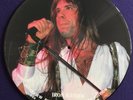 IRON MAIDEN * INTERVIEW PICTURE DISC LIMITED EDITION BRUCE DICKINSON BAK2037 UK