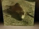 PEARL JAM Sonic Reducer WHO KILLED RUDOLPH 7