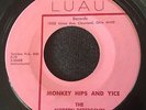 Rare Soul Funk R&B 1965 Luau 45 Modern Detergents - Monkey Hips & Yice VG+