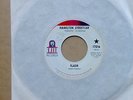 Hamilton Streetcar Flash rare 1967 US LHI label garage psych 45 near ex