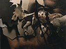 Jenny Hval - Viscera [Vinyl,LP,45 RPM,Album,Limited Edition]
