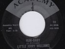 LITTLE JERRY WILLIAMS Hum Baby SCORCHING r&b dancer ROCKABILLY Swamp Dogg HEAR