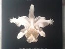 Kings Of Leon vinyl 2LP Aha Shake Heartbreak new. not youth bull rsd because cd