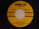 The Tornados 45 GENI IN THE JUG bw LOVE IN YOUR LIFE   Bumble Bee M- doo wop