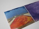 RED HOT CHILI PEPPERS | Californication [SEALED 1999 German Pressing 2 x LP |